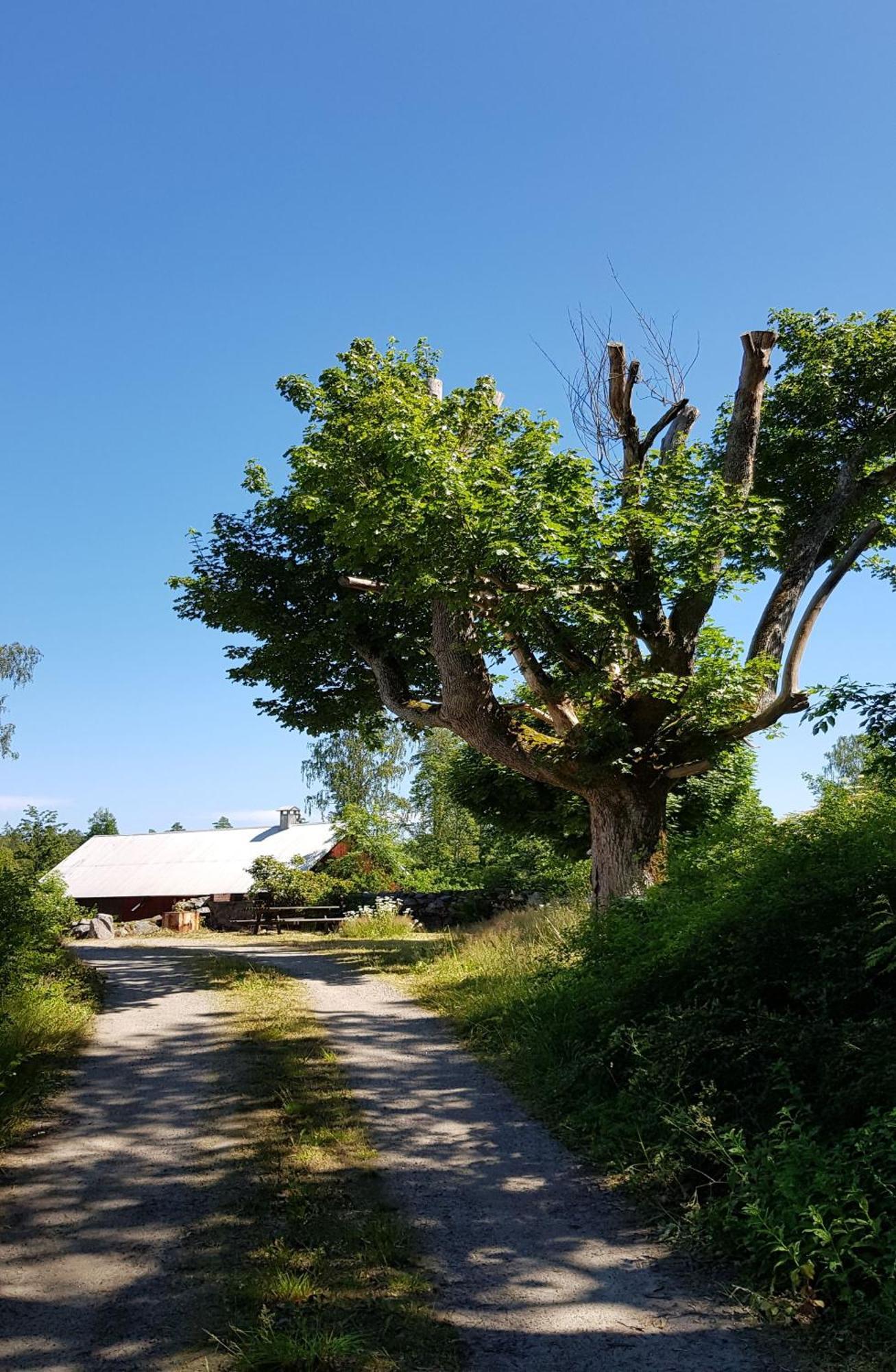 Stroenhult Farmhouse By The Lake Stronhult Luaran gambar